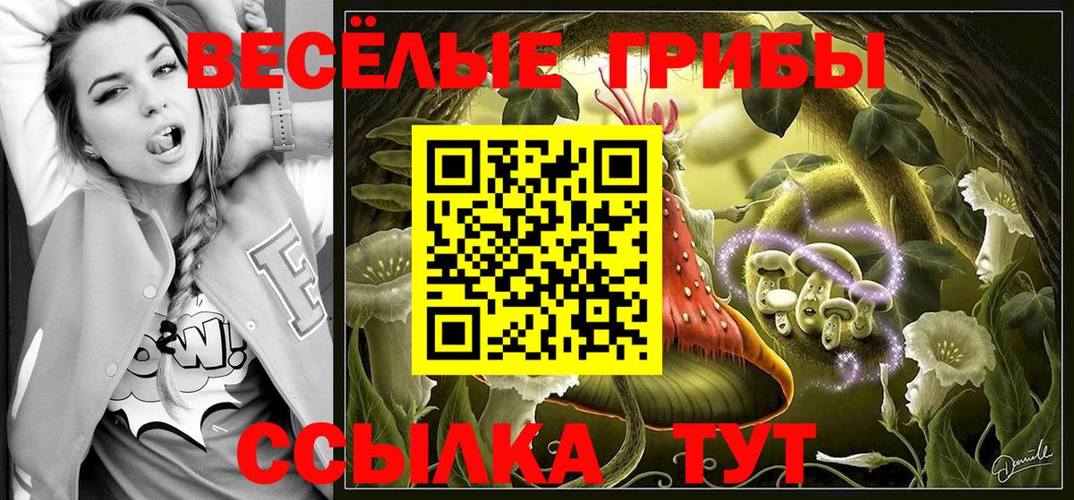 Москва  Псилоцибиновые грибы Psilocybine cubensis  Вход с VPN 