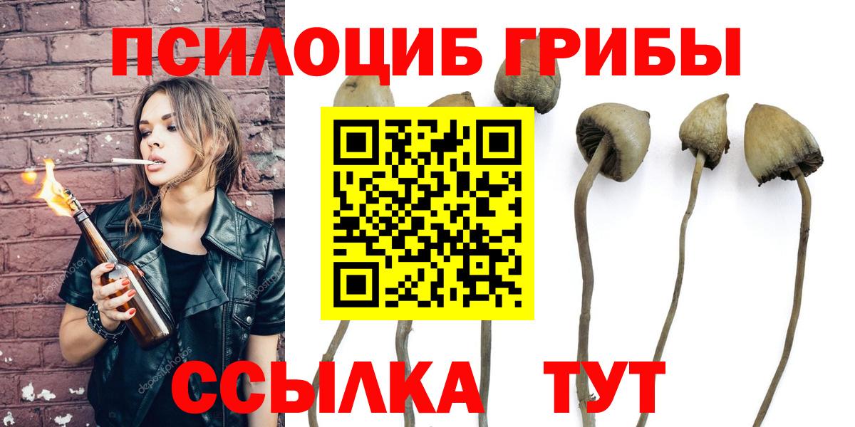 Галлюциногенные грибы Psilocybine cubensis Москва